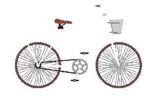 Bike Vacation Sticker by Stanton South Beach