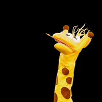 Meme Pedido GIF by Giraffas