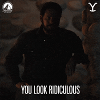 You Look Ridiculous Paramount Network GIF by Yellowstone