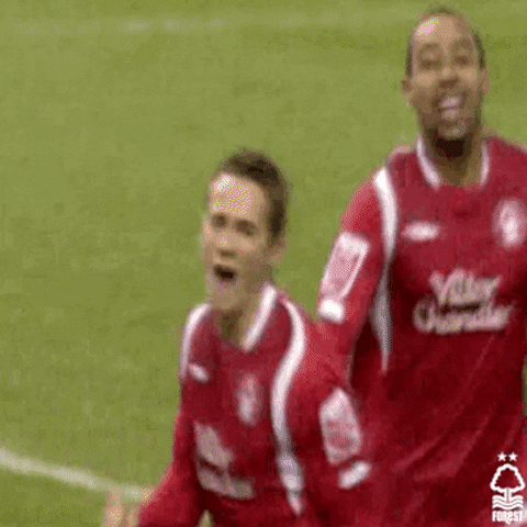 Chris Cohen Football GIF by Nottingham Forest