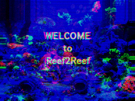 Reef2Reef GIF