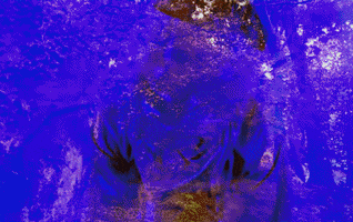 GIF by MUTEK.MX