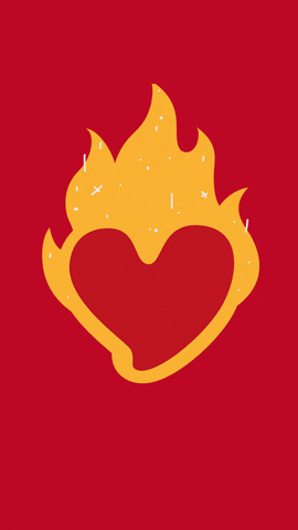 GIF by Quiero Jalerto