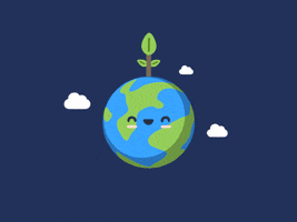 Messapps GIF