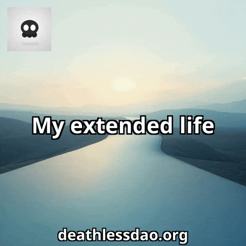 Life Road GIF by deathlessdao