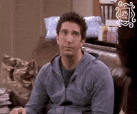 Season 4 Monica GIF by Friends - Find & Share on GIPHY
