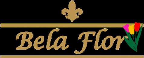 belaflorrp GIF