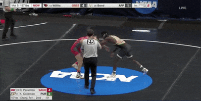 Wrestling Kendall GIF by NCAA Championships