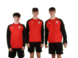 Dhb Beachhandball Sticker by dhb_teams