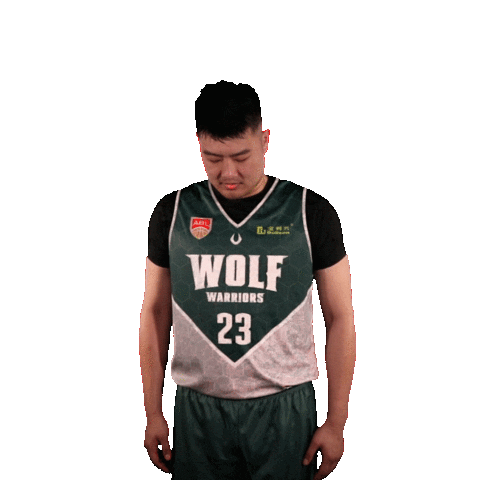 Asean Basketball League Sticker by ABL