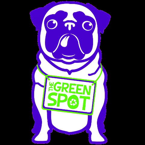 Dog Pug GIF by The Green Spot Omaha