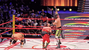 Lucha Libre Wrestling GIF