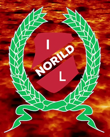 norild_official norild GIF