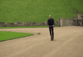 Eugene Levy GIF by Vulture.com