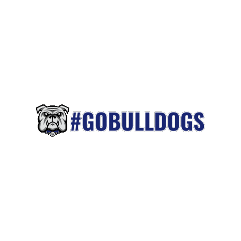 Cobleskill-Richmondville CSD Sticker