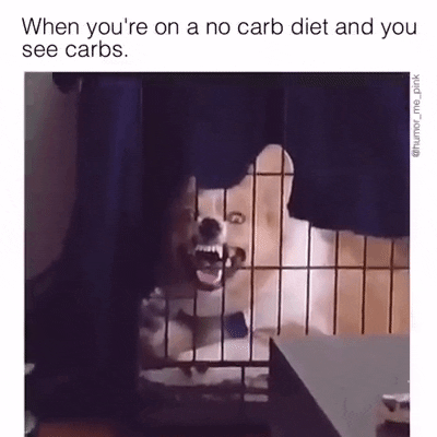 canary  GIF