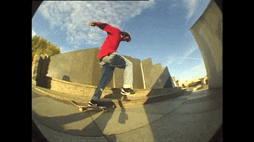 Pocket Skateboard Magazine GIF