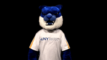 Gameday GIFs - Find &amp; Share on GIPHY