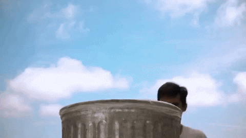 giphy.gif
