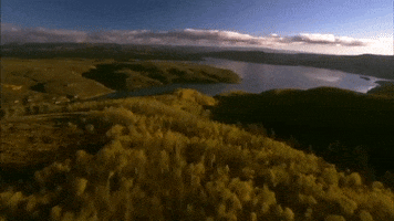 Engel & Völkers Salt Lake GIF