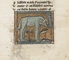 Koninklijke Bibliotheek Elephant GIF
