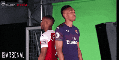 premier league football GIF by Arsenal