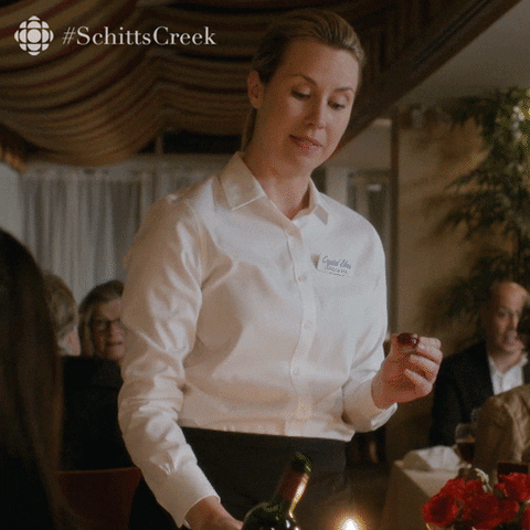 She Gets It Schitts Creek GIF by CBC