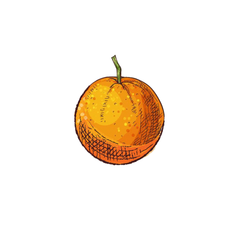 Coffee Tea Sticker