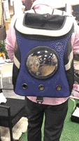 Jackson Galaxy GIF by Your Cat Backpack