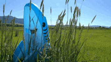 GIF by bozemanrealestategroup