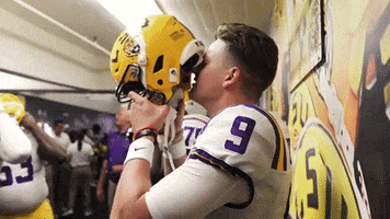 Nfl Cincinnati GIF by LSU Tigers