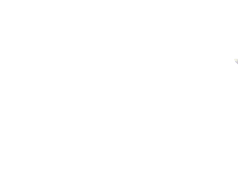 SignSpin Sticker