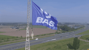 BAS GIF
