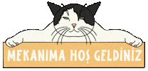 Cat Sticker