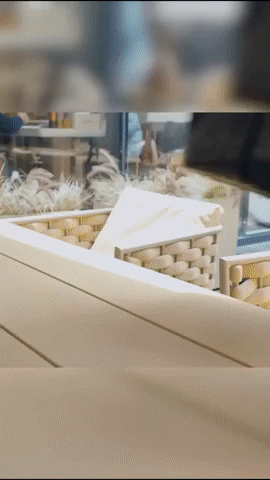 Synco GIF