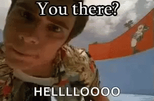 Are You There Reply GIF by memecandy