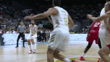 Assist Real Madrid GIF by ACB