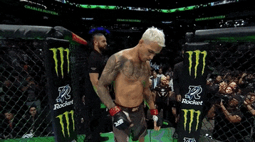 Mixed Martial Arts Fighting GIF by UFC