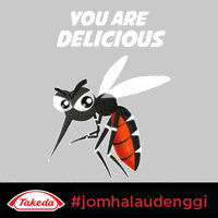 knowdenguemy-food-hungry-delicious-Rn1iqPnAnD07KYrQVc