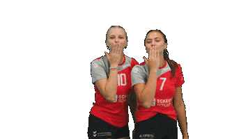 TB/ASV Regenstauf Sticker