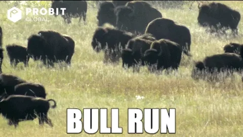 Bull Run Moon GIF