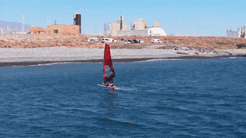 Predator GIF by Severne Windsurfing