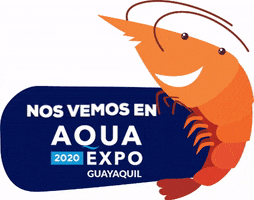 cnaecuador GIF