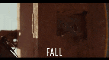 Odeon Cinemas Falling GIF by Signature Entertainment