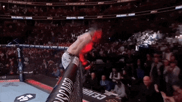 Reaching Out Mixed Martial Arts GIF by UFC