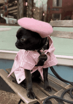 oui one GIF