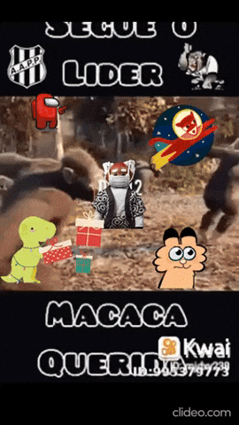 Macacos GIF