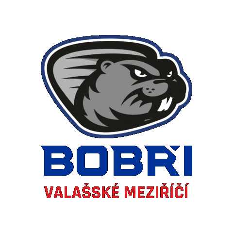 HC Bobři Valašské Meziříčí Sticker