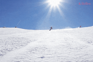 SkiBro GIF