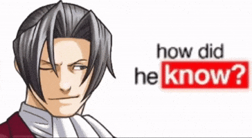 Ace Attorney GIF